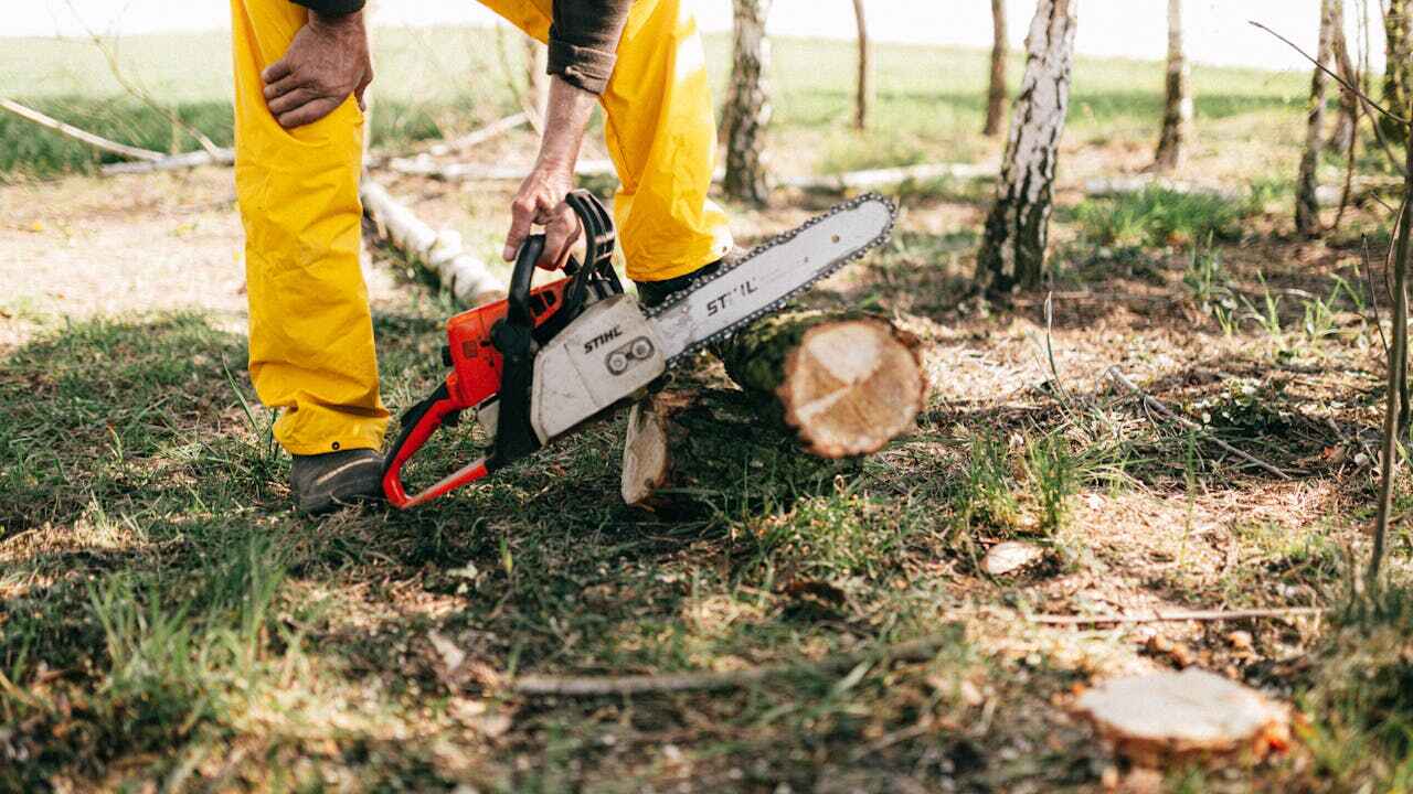 Best Emergency Tree Service  in Luling, TX